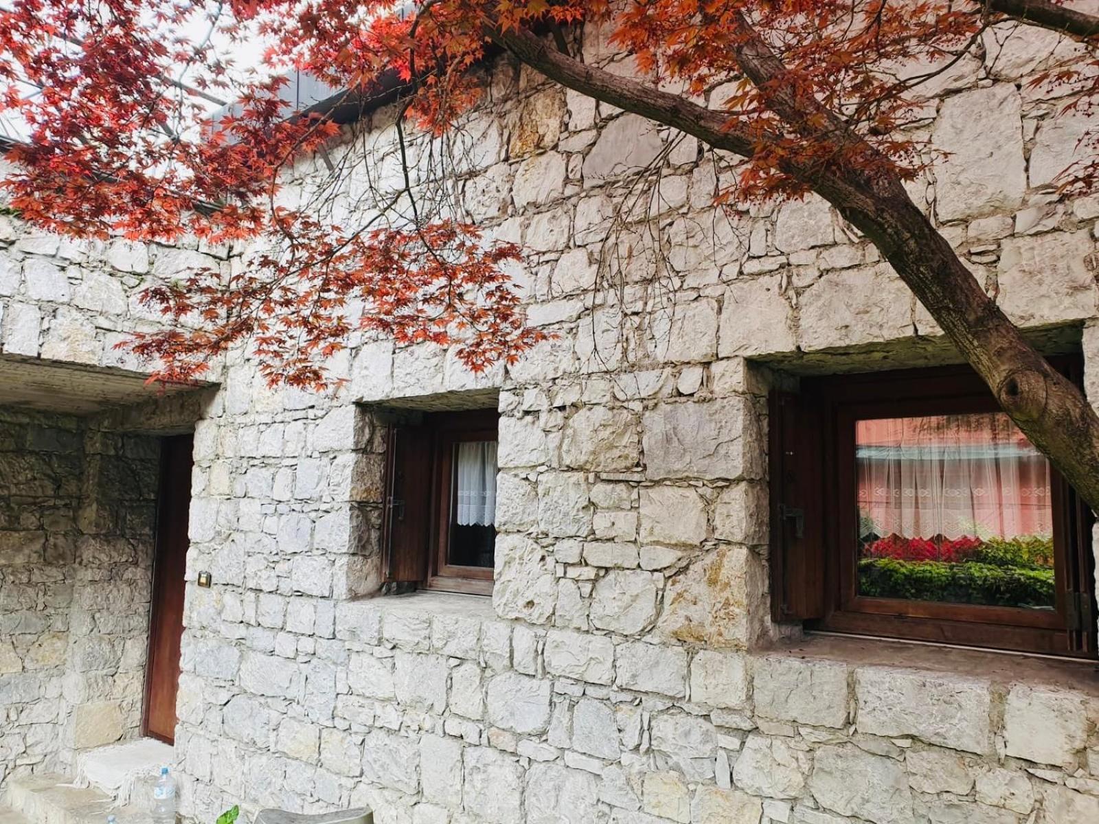 B&B San Rocco Capo di Ponte Dış mekan fotoğraf